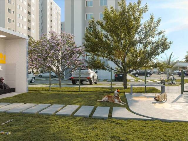 Apartamento para Venda em Várzea Grande - 5