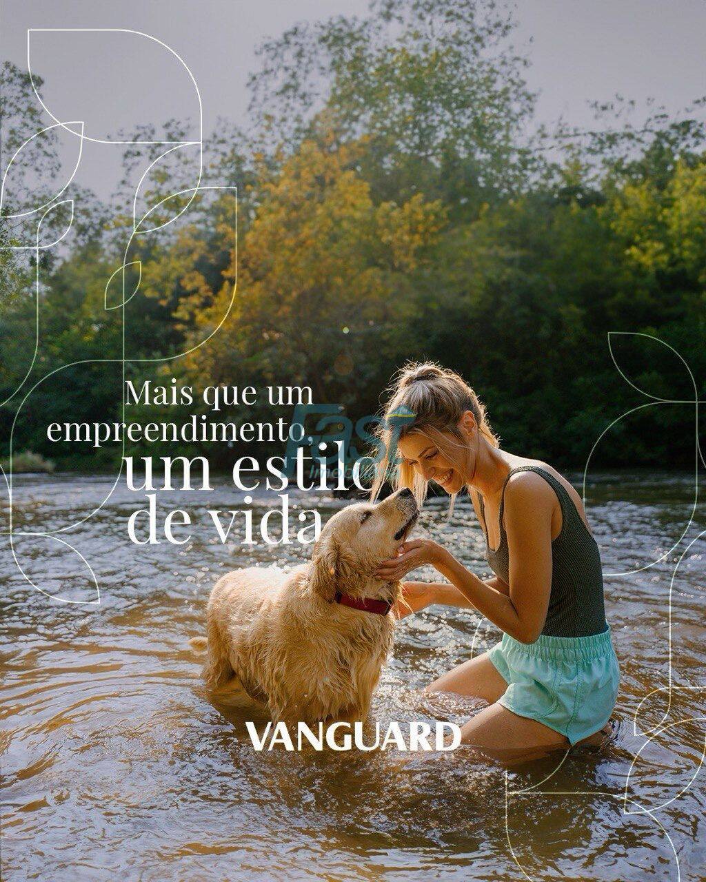 Apartamento, 3 quartos - Foto 4