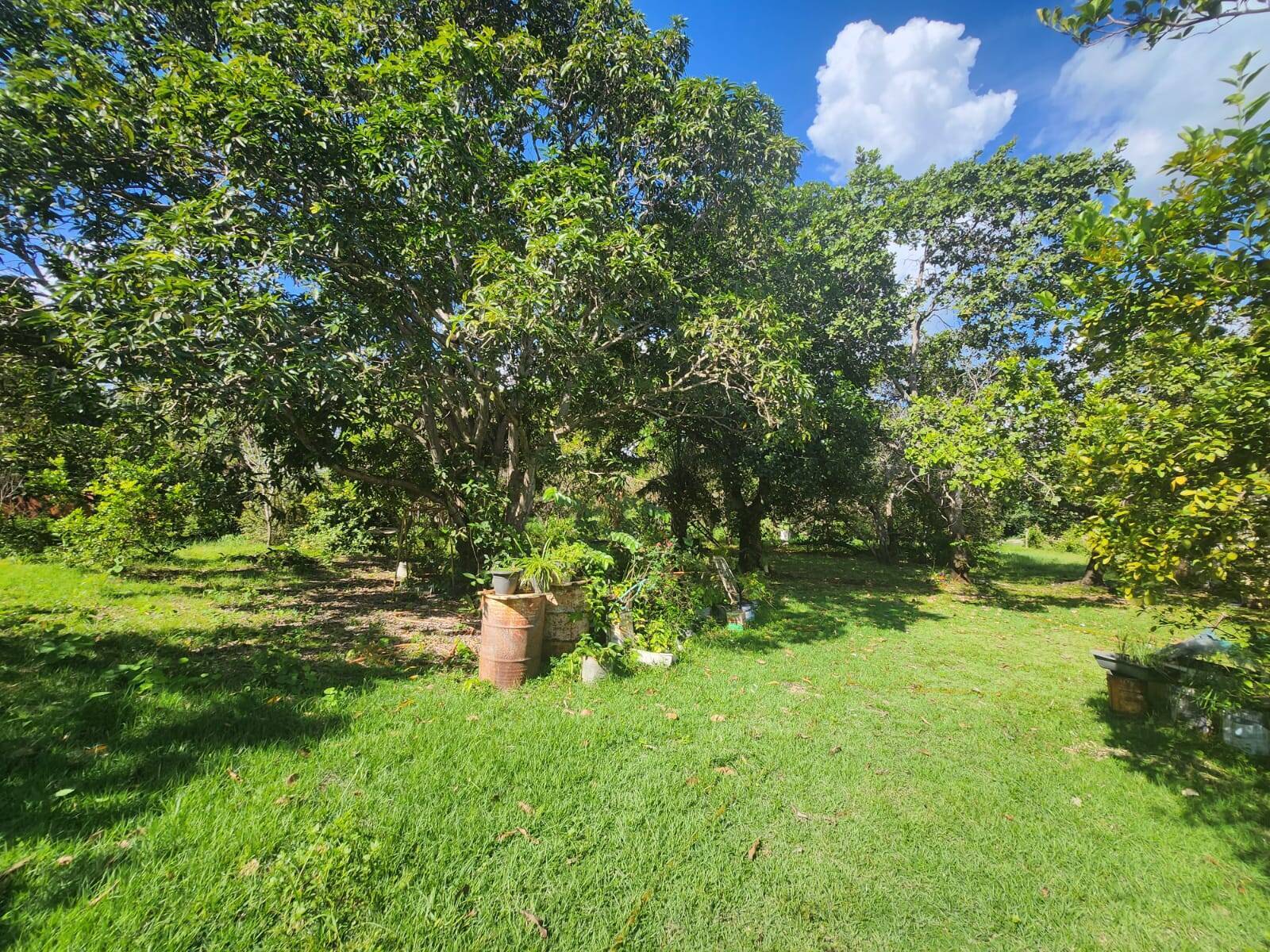 Chácara, 3 quartos, 3 hectares - Foto 2