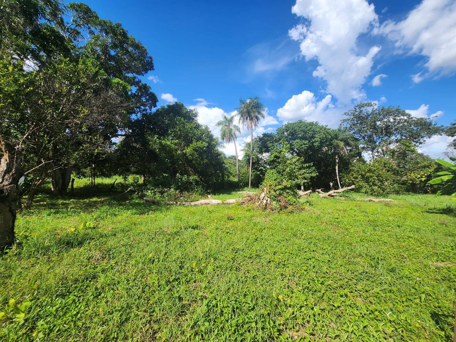 Chácara, 3 quartos, 3 hectares - Foto 3