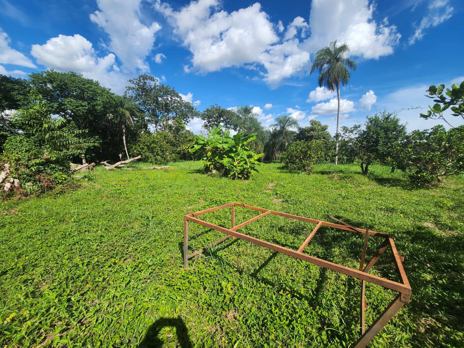 Chácara, 3 quartos, 3 hectares - Foto 4