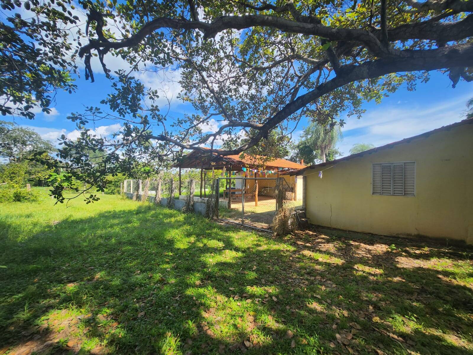 Chácara, 3 quartos, 3 hectares - Foto 5