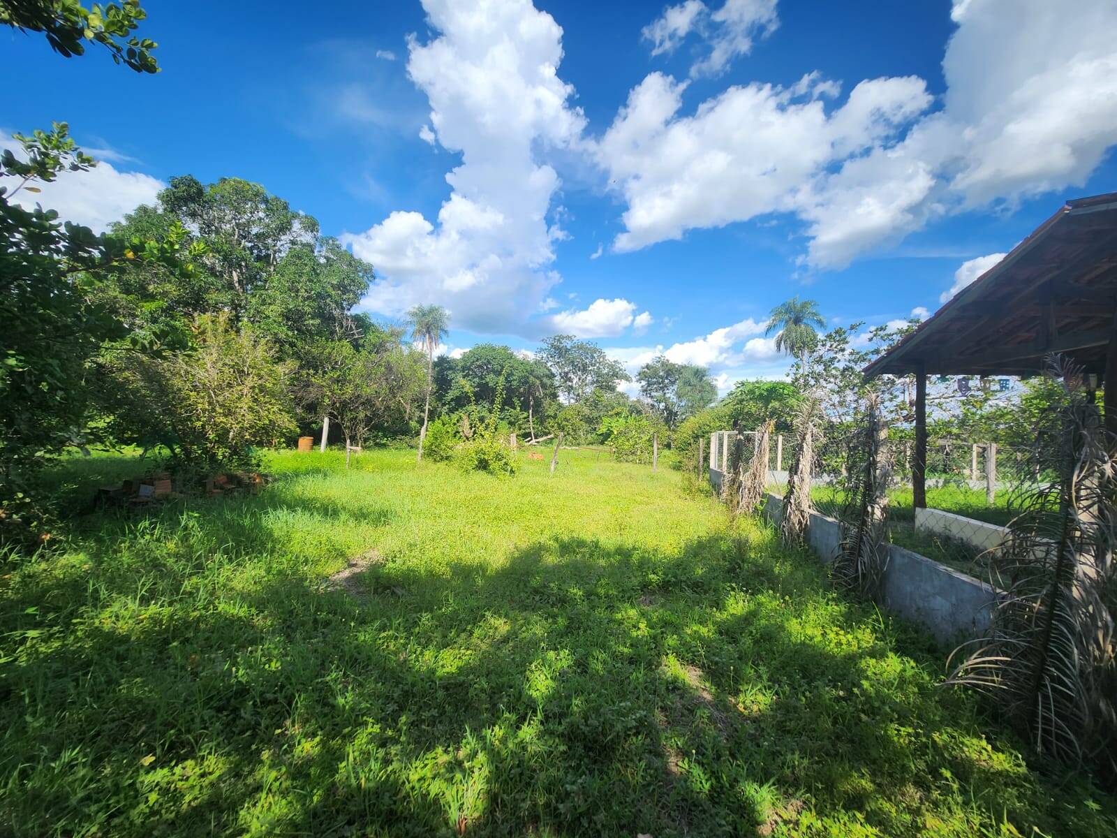 Chácara, 3 quartos, 3 hectares - Foto 6