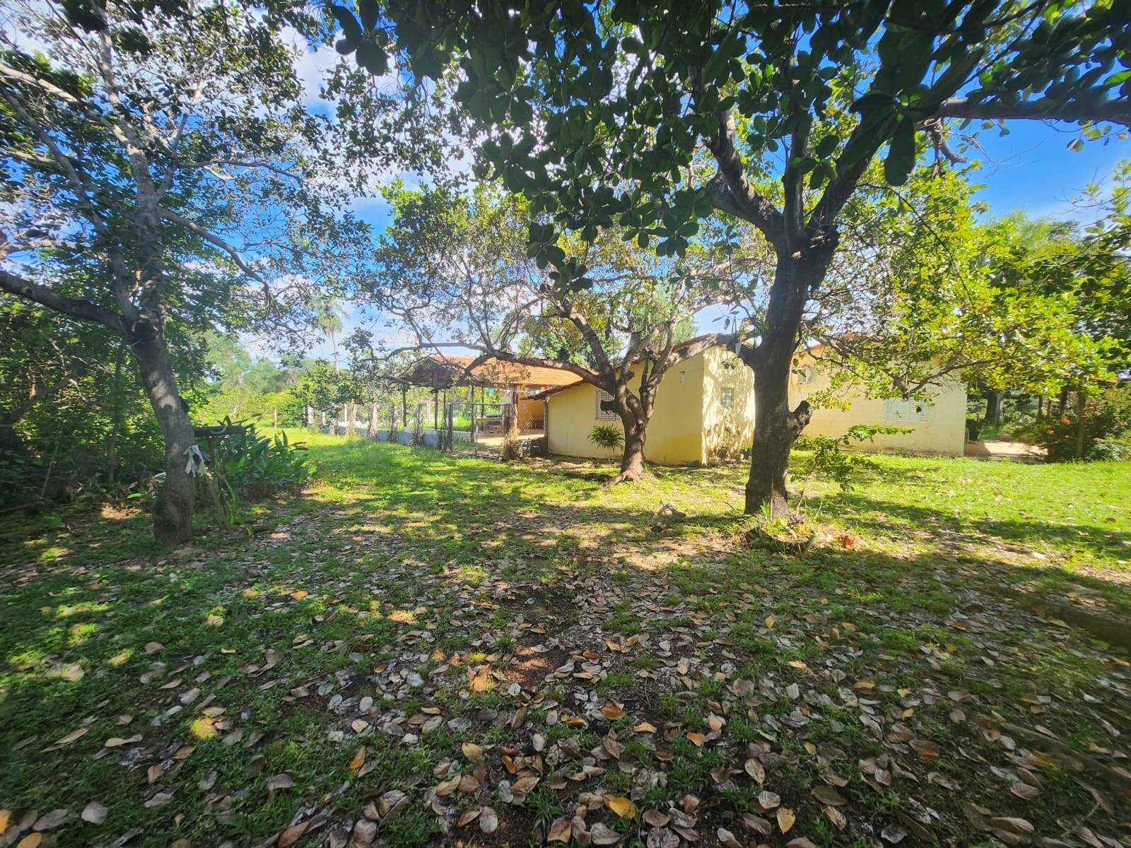 Chácara, 3 quartos, 3 hectares - Foto 7