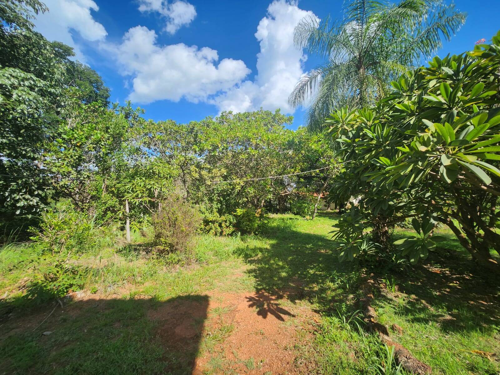 Chácara, 3 quartos, 3 hectares - Foto 9