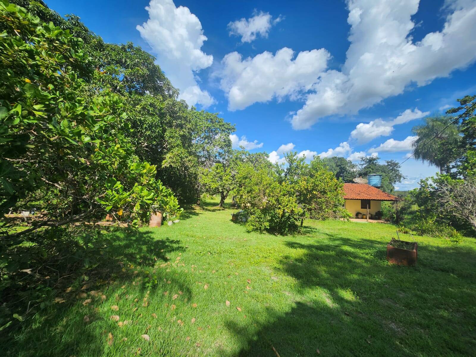 Chácara, 3 quartos, 3 hectares - Foto 10