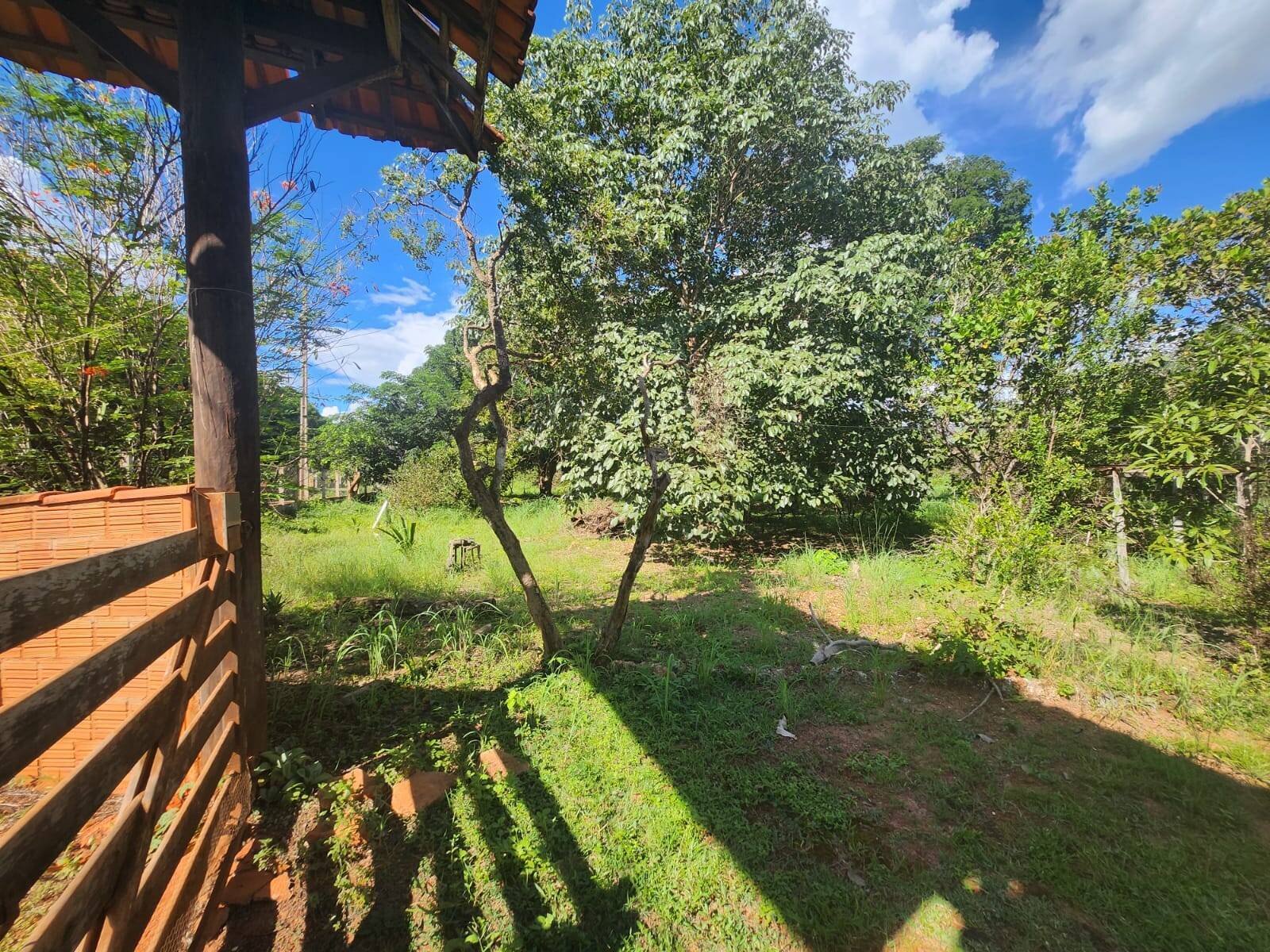 Chácara, 3 quartos, 3 hectares - Foto 11