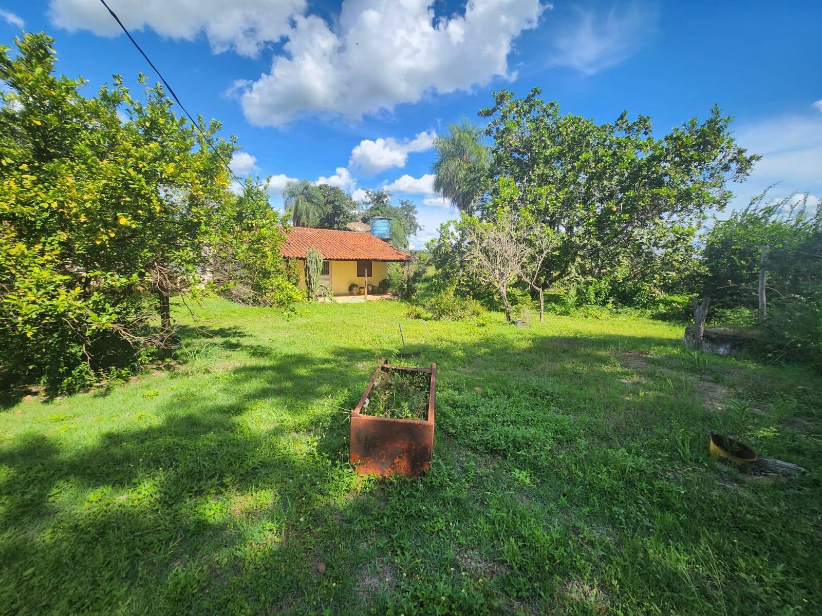 Chácara, 3 quartos, 3 hectares - Foto 12