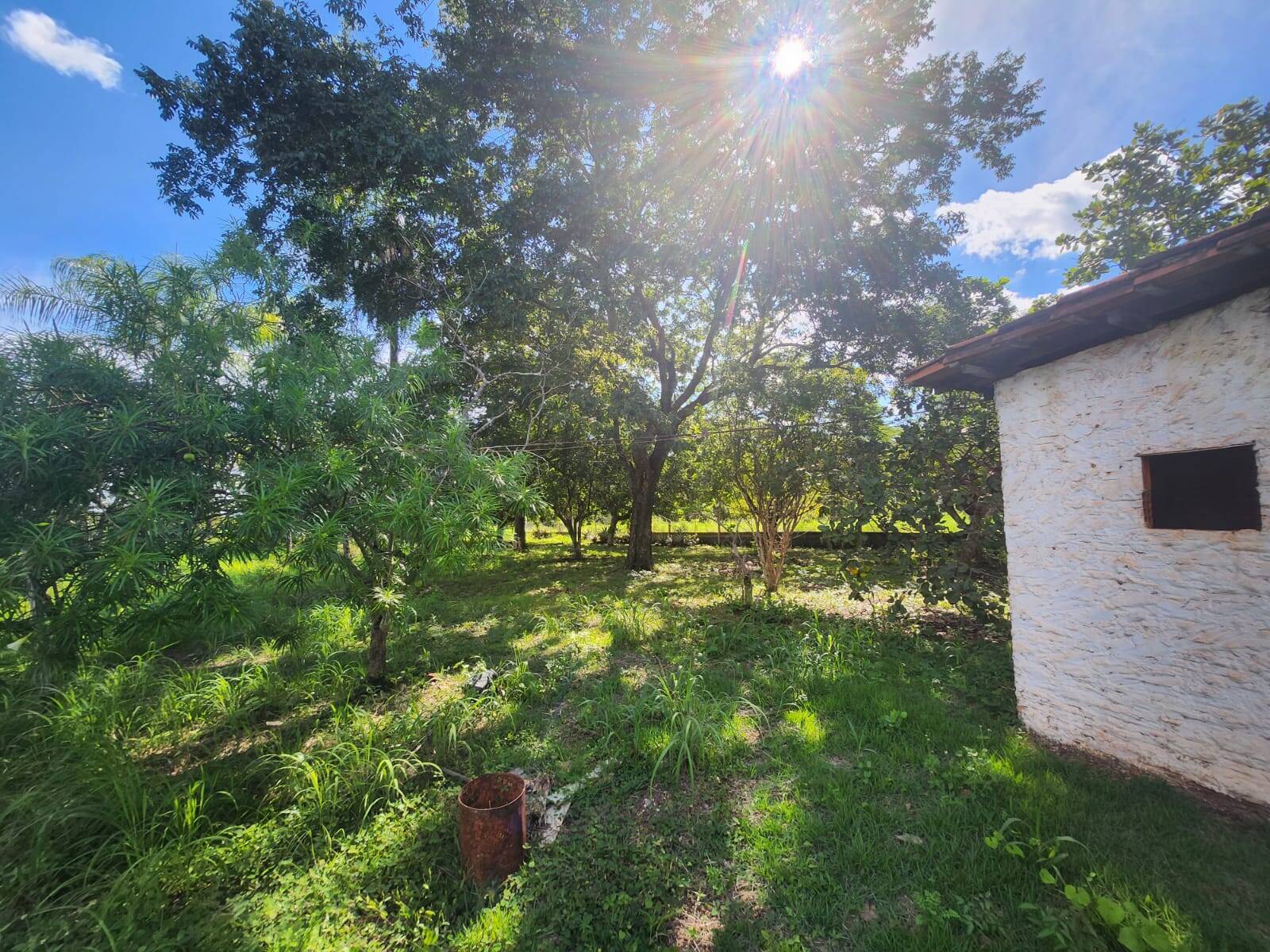 Chácara, 3 quartos, 3 hectares - Foto 13